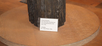 Erhaltener Holzpfahl aus Eichenholz, Teil einer römischen Rheinbrücke, mit erklärendem Schild.