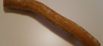 Unbearbeiteter, gebogener Holzast mit Rinde auf hellem Untergrund.
